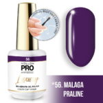 56_MALAGA-PRALINE