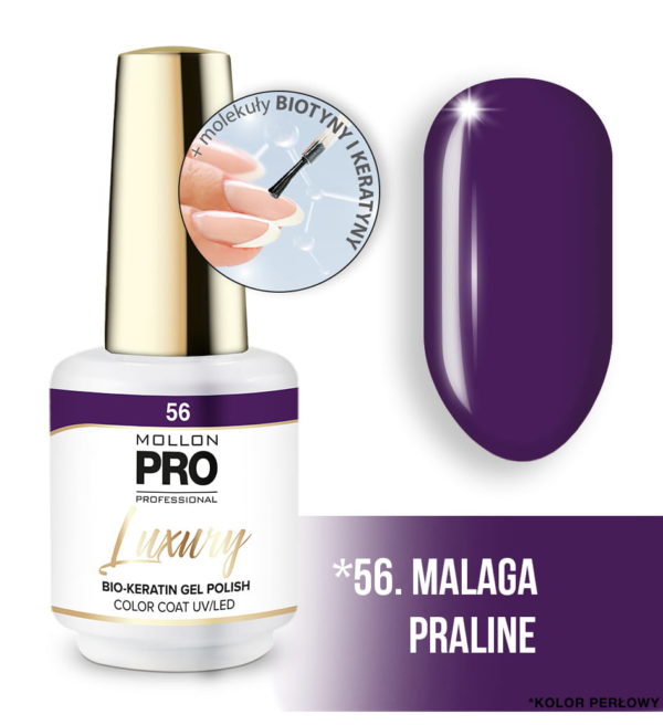 56_MALAGA-PRALINE