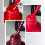Nail Lacquer Mollon Pro Professional 3.png