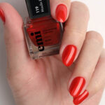 NP_119 (4)